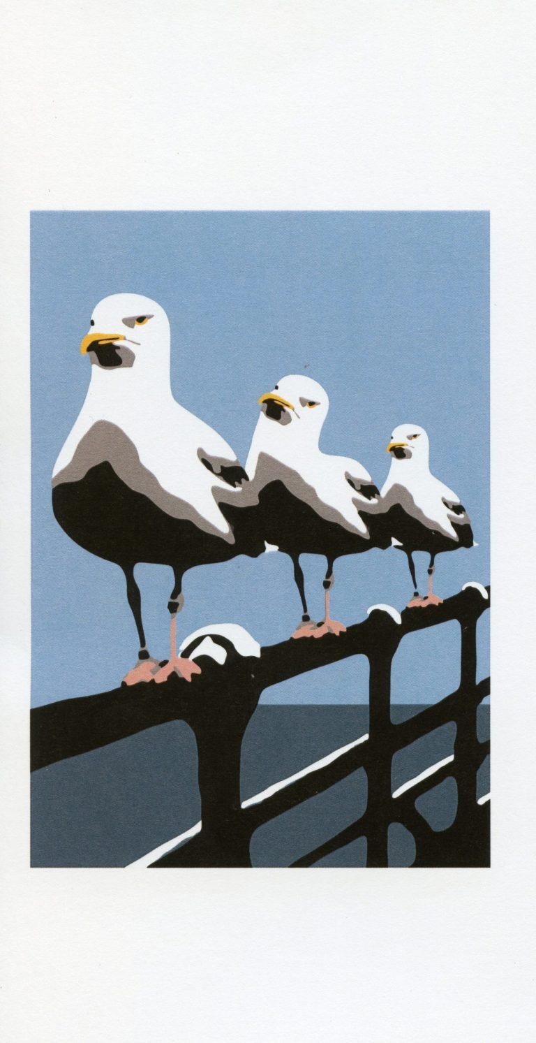 '3 Grumpy Gulls' by Thomas Freer