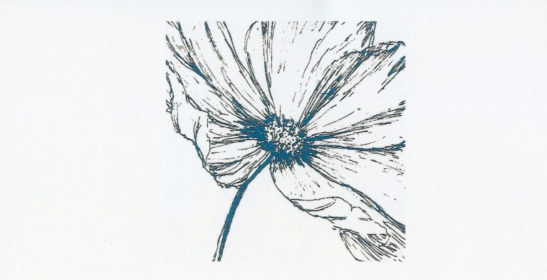 'Cosmos' by Incey Wincey Studio
